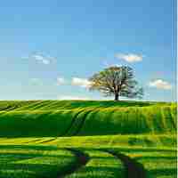 大‍数‌据‍分‌析​师‍等﻿级‌